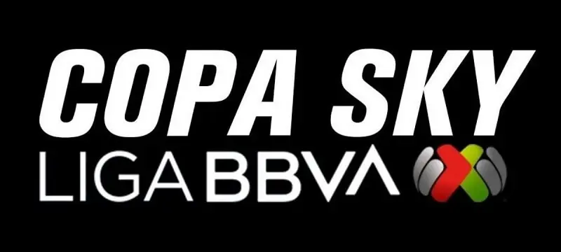 copa sky donde ver los partidos