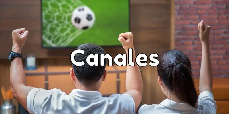 canales para ver fútbol